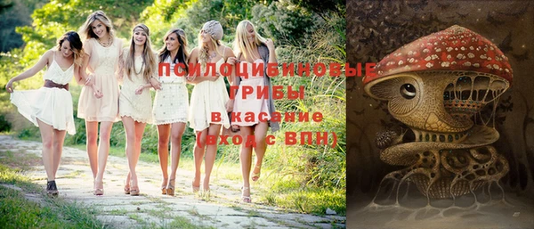 не бодяженный Гусиноозёрск