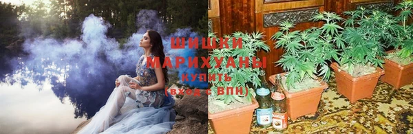 гашишное масло Гусев