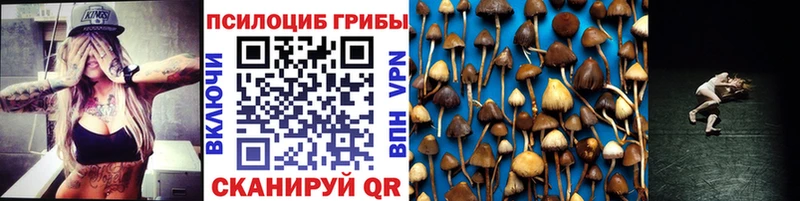 Купить  Подольск  Галлюциногенные грибы Cubensis 